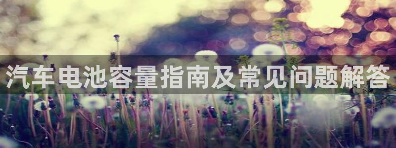 优发国际平台u8怎么样