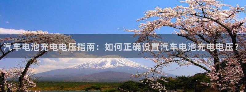 优发国际平台g80