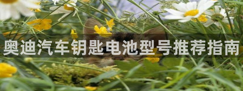 优发国际客服联系方式是什么