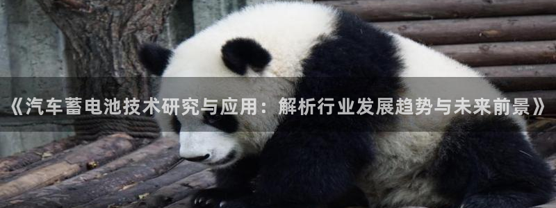 优发国际youfa