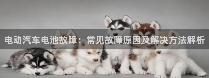 优发国际是真的吗