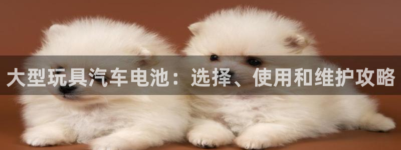 优发国际官网下载app