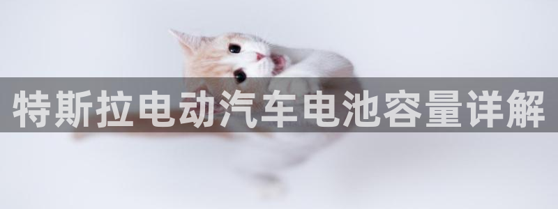 优发国际网官网17w8