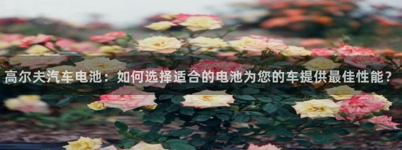 优发国际