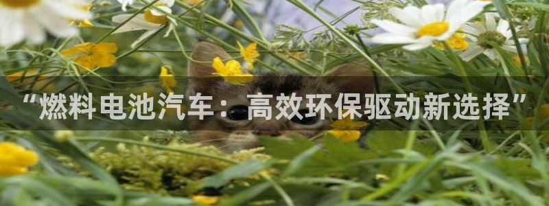 优发娱乐国际线上