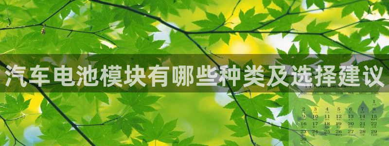 优发国际安卓版下载安装最新版：汽车电池模块有哪些种类及选择建议