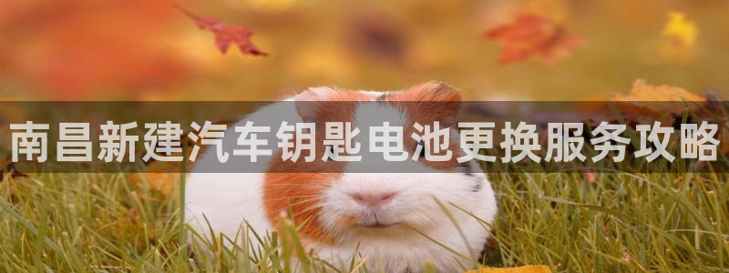 优发国际 干什么的