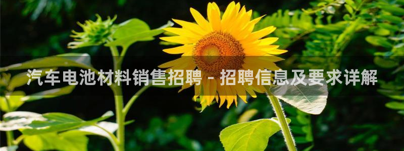 优发国际平台