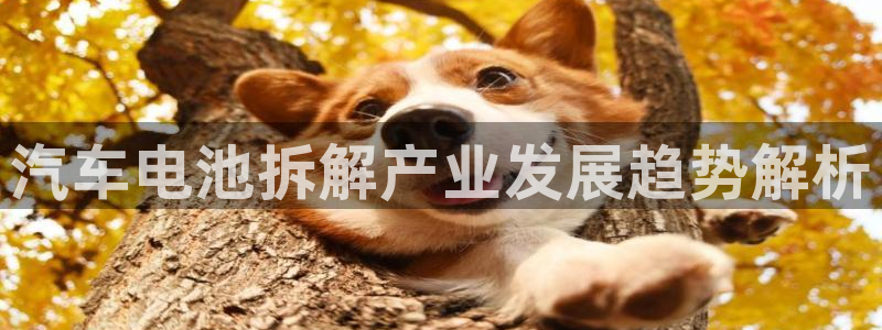 优发游戏官网