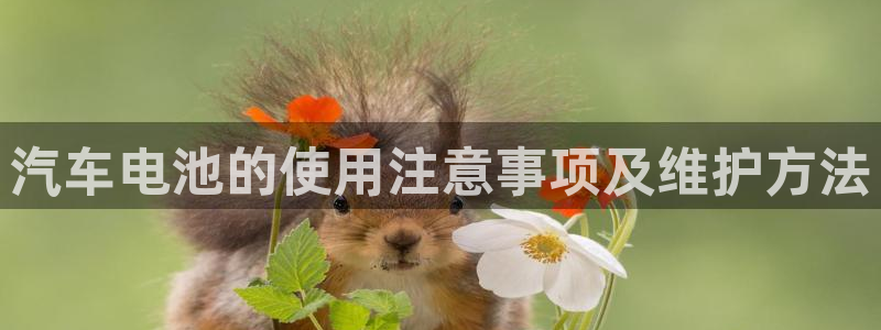 优发国际的官网是什么
