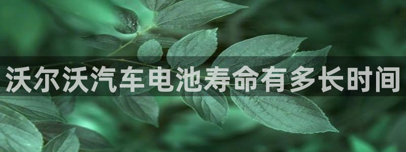 优发国际app官网下载安装苹果手机