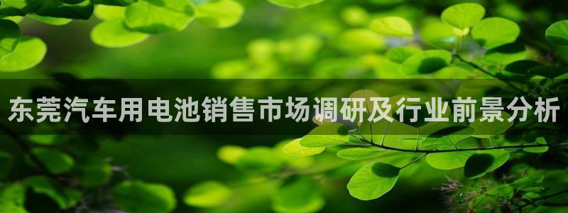 优发国际最新网站下载