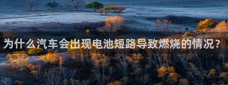优发国际网官