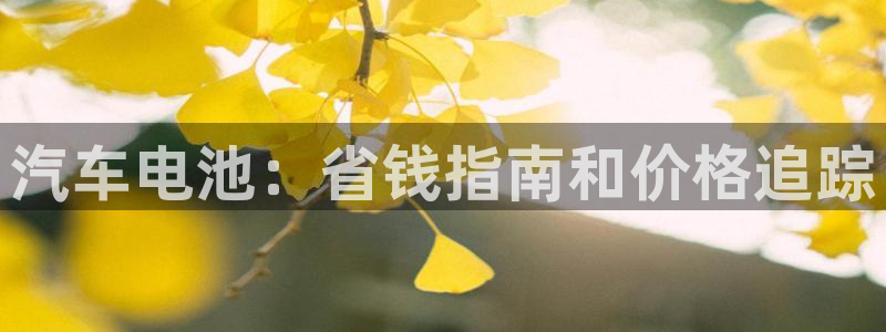 优发国际平台网站
