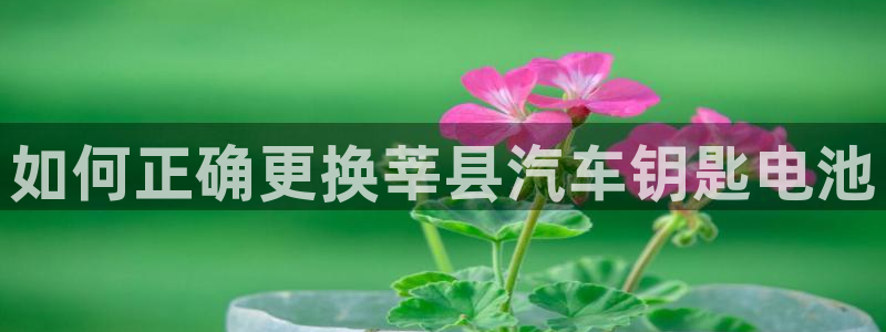 优发国际官网官方网址