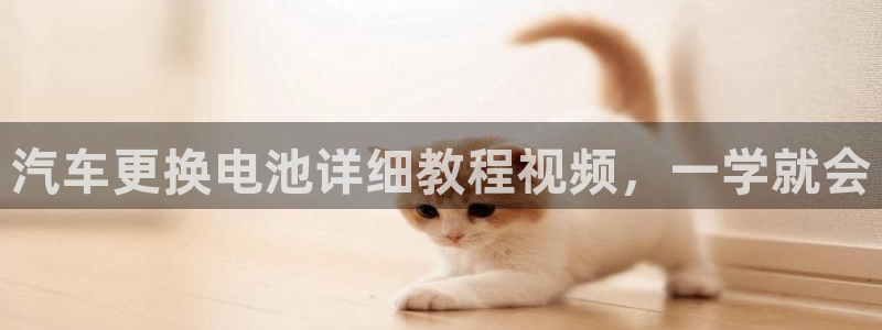 优发国际官网下载安装手机版