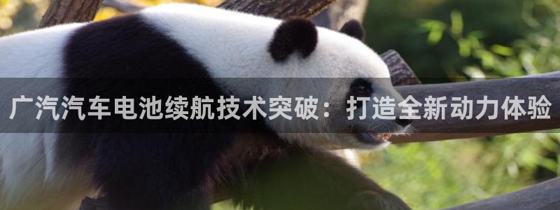 优发国际顶级