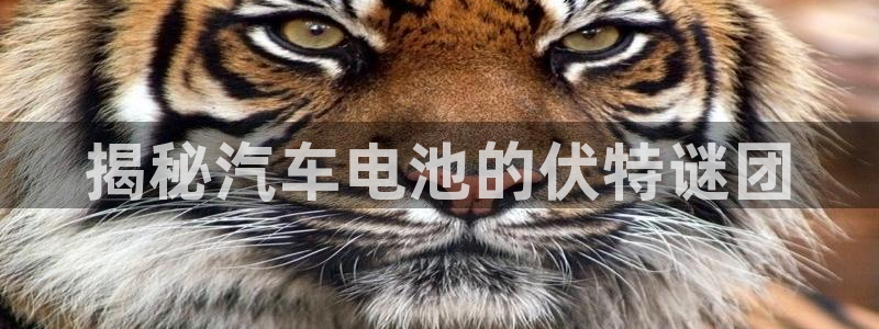 优发国际youfa966