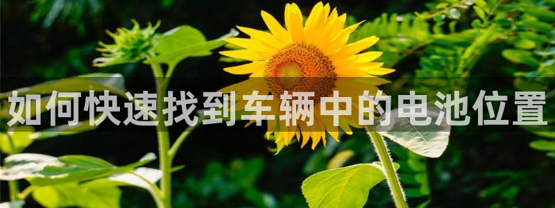 优发国际平台u8怎么样可靠吗