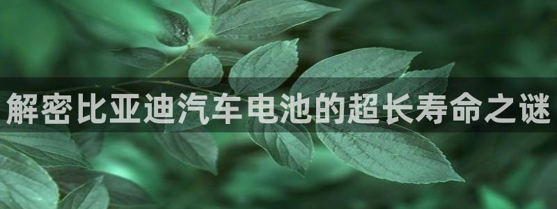 优发国际这个平台怎么样