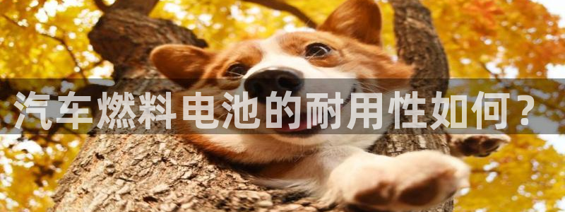 优发娱乐国际线上