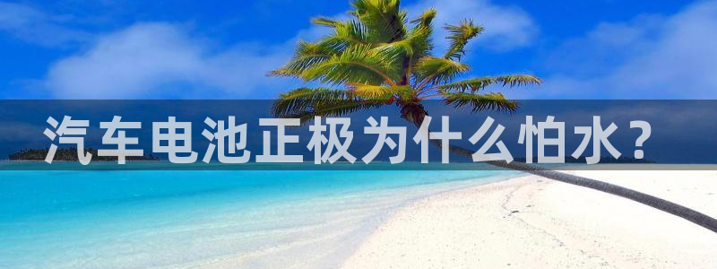优发国际网官