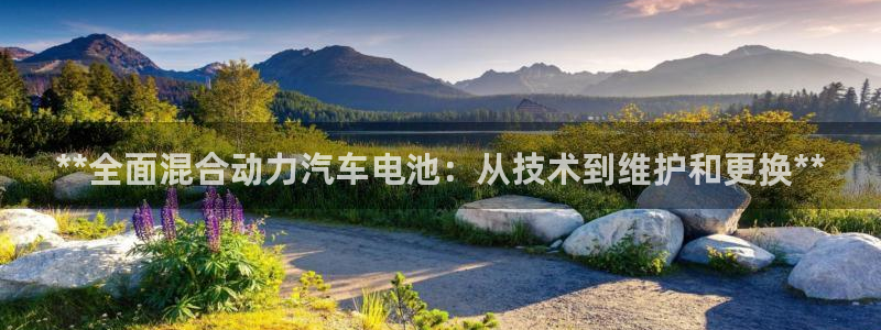 优发国际网官网17o8
