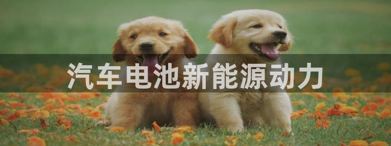 优发国际手机登录下载安装