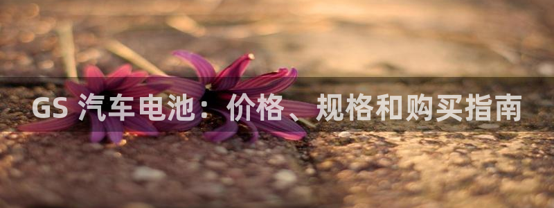 优发国际官网手机版下载