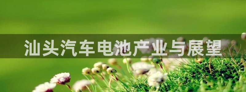 优发国际平台手机版下载安装
