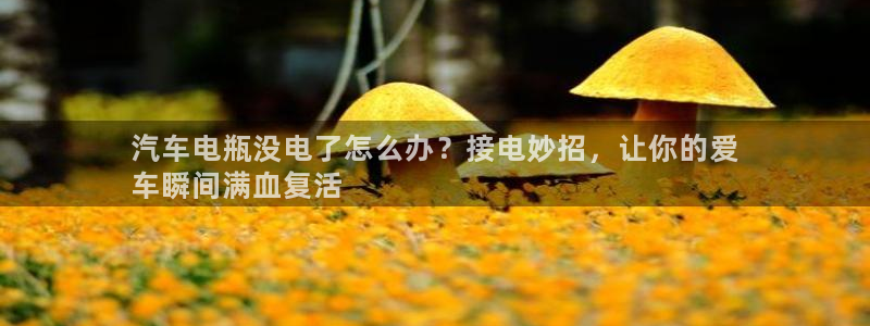 优发国际app登录