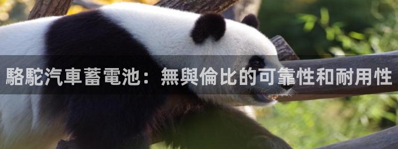 优发国际是真的吗