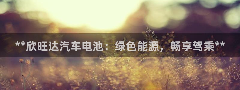 优发国际手机登录下载安装官网