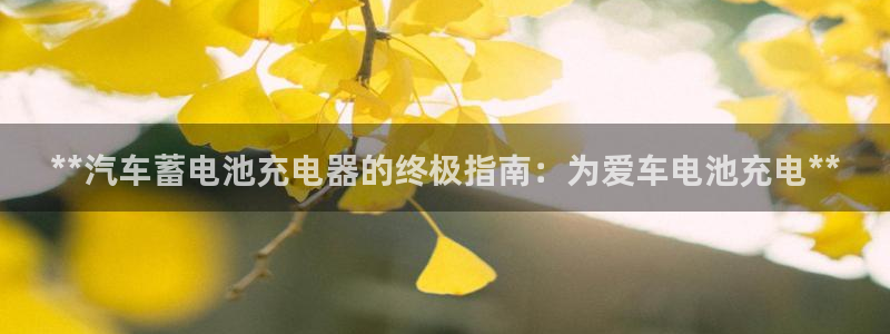 优发国际手机客户端怎么下载