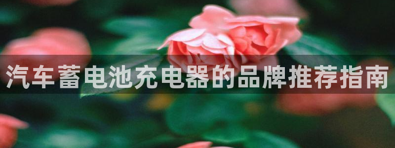 优发国际手机客户端下载安装不了