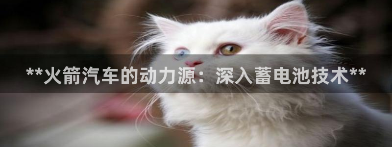 优发国际网页