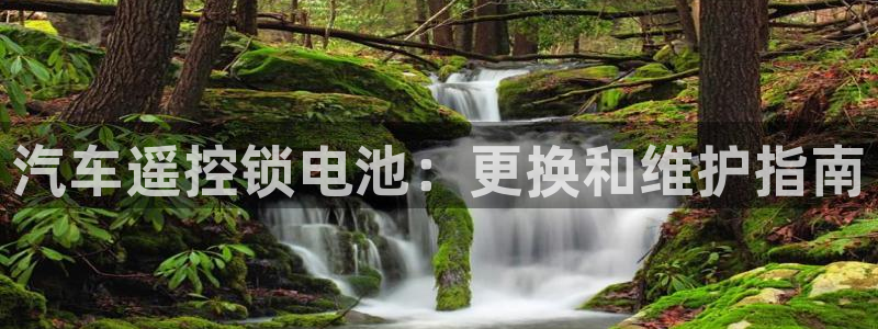 优发国际网官网17w8