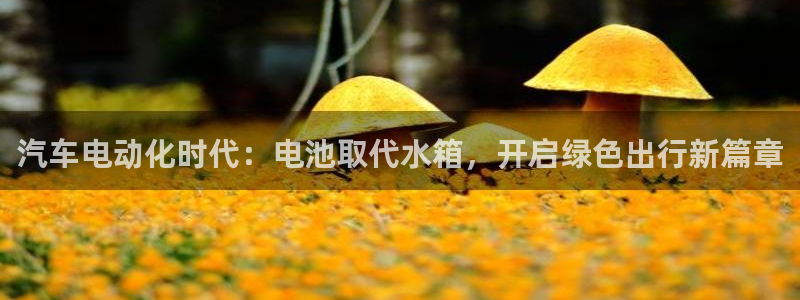 优发国际手机客户端下载
