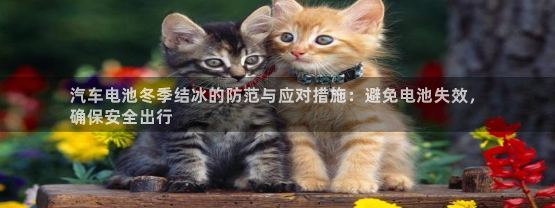 优发国际平台u8怎么样可靠吗