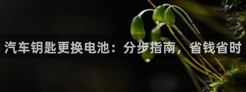 优发国际手机版客户端下载