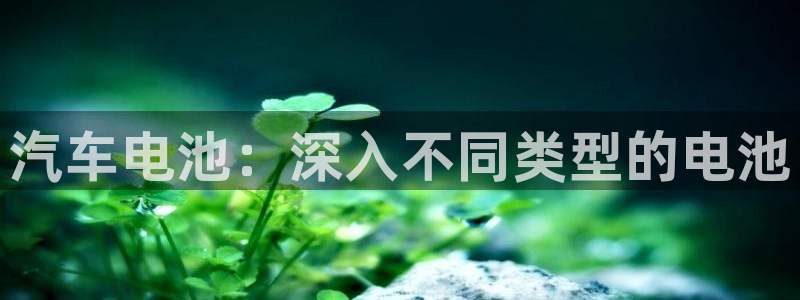 优发国际平台u8怎么样