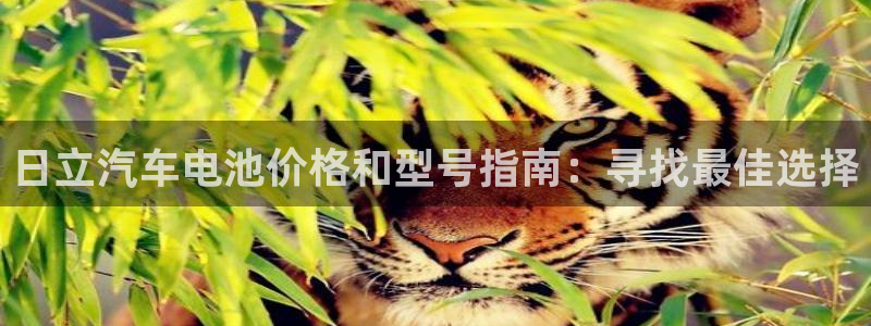 优发国际首页官网