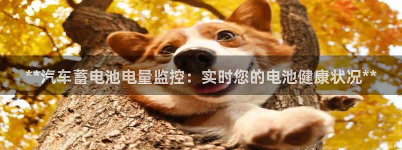 优发国际手机版客户端