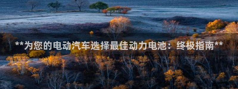 优发国际官网手机版