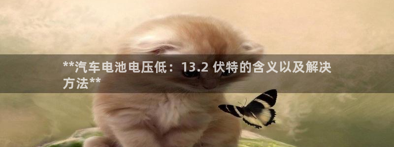 优发国际是大平台吗