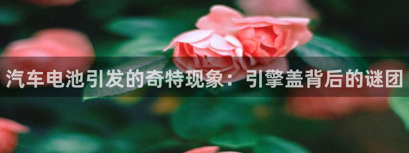 优发国际游戏官方网站入口