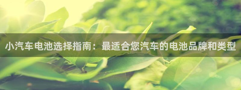 优发国际app官网下载安装手机版