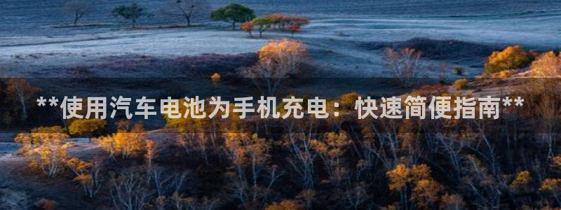 优发国际手机客户端app