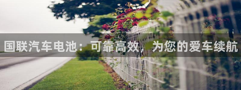 优发国际官网qy88