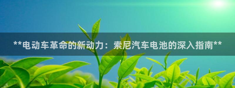 优发国际手机版下载
